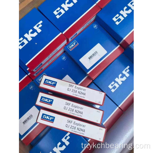 SKF Deep Groove Ball Rulman Serisi Ürünleri